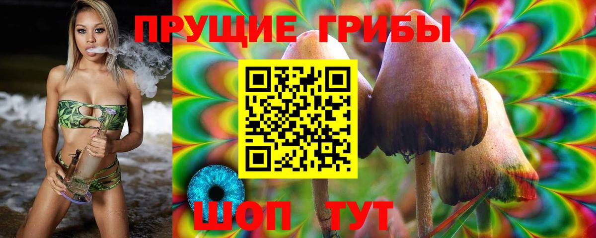 Псилоцибиновые грибы Psilocybe  Псилоцибиновые грибы ЛСД  где купить наркотик  Вход с VPN  Урюпинск 